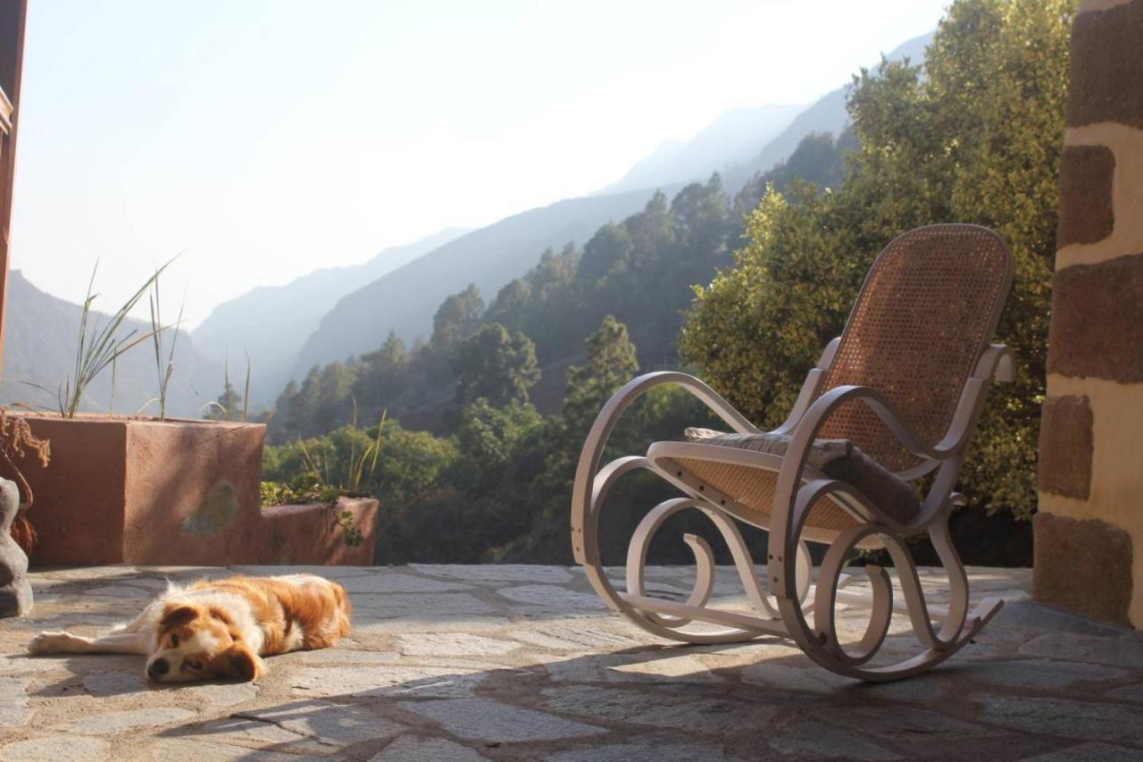 Rivendell Eco El Paso