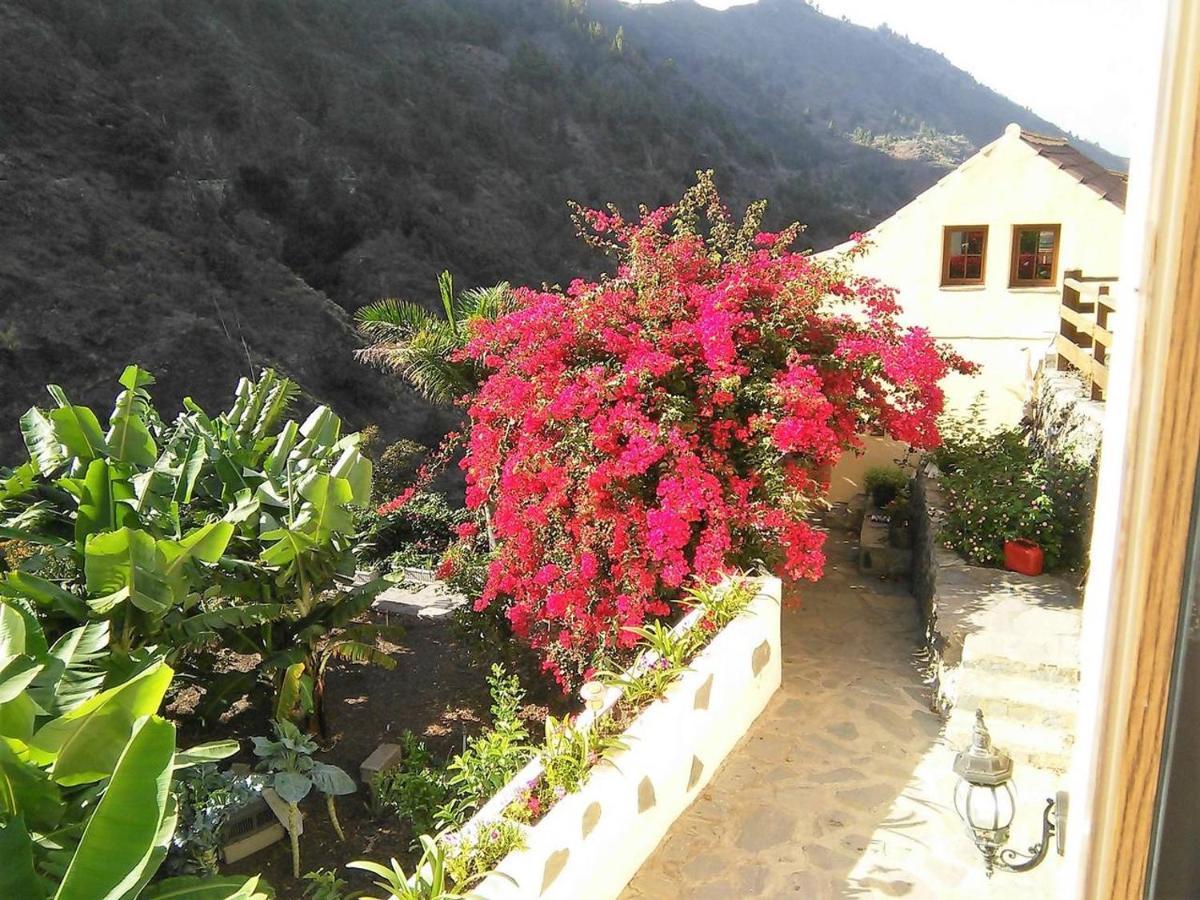 Lodge Rivendell Eco *