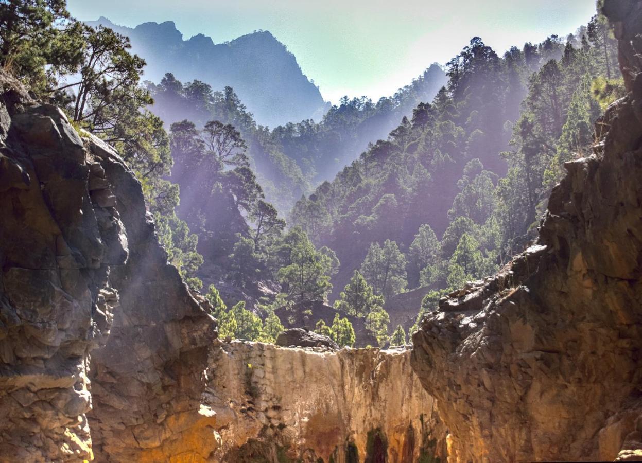 Lodge Rivendell Eco *