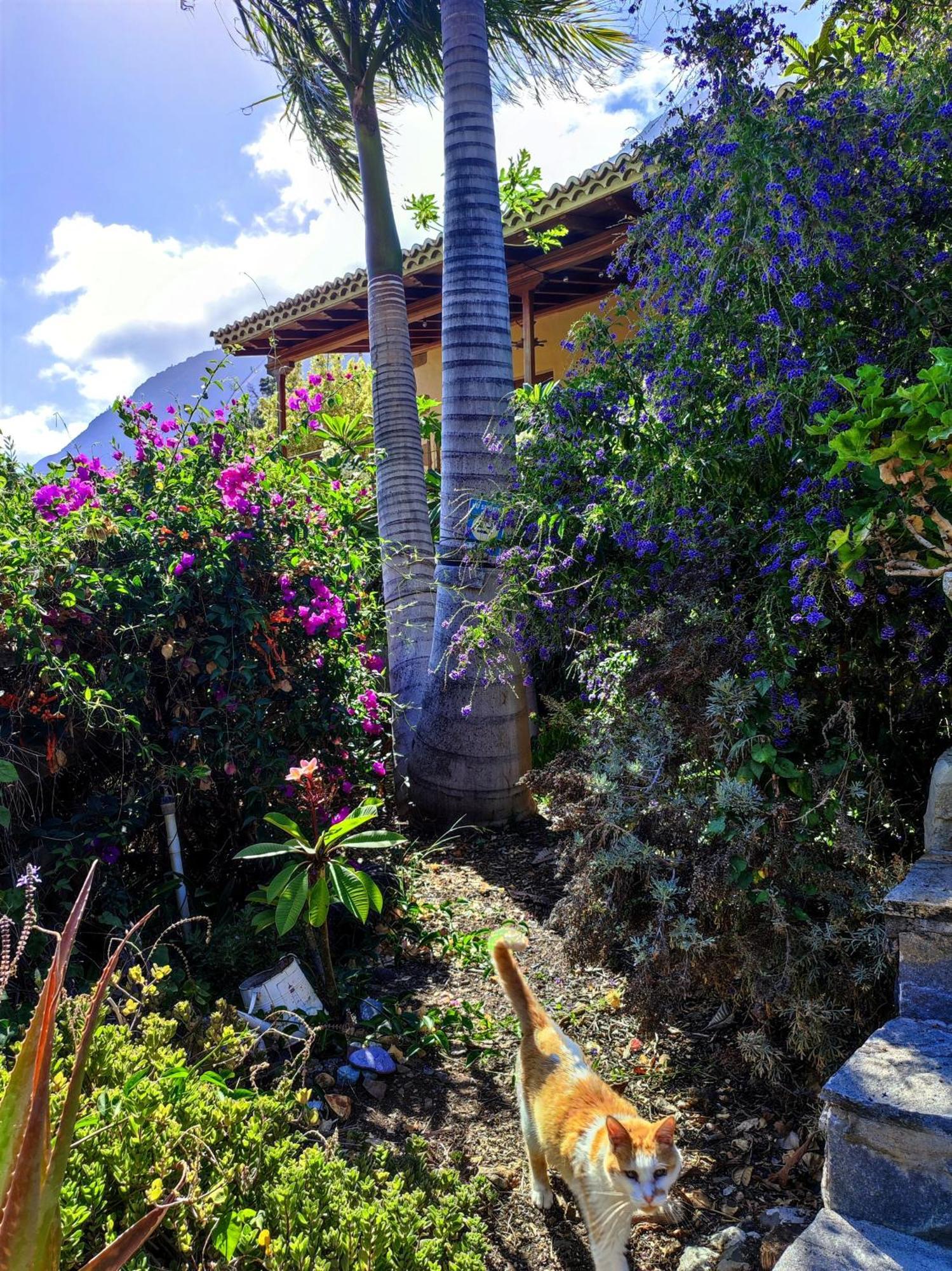 Rivendell Eco Lodge El Paso