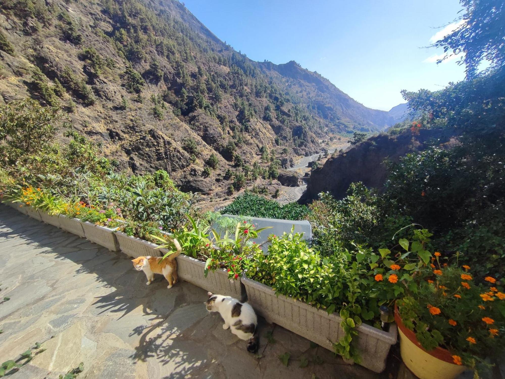 Rivendell Eco Lodge El Paso